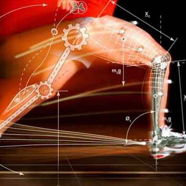 Biomecânica e Cinesiologia Aplicadas ao Movimento Humano
