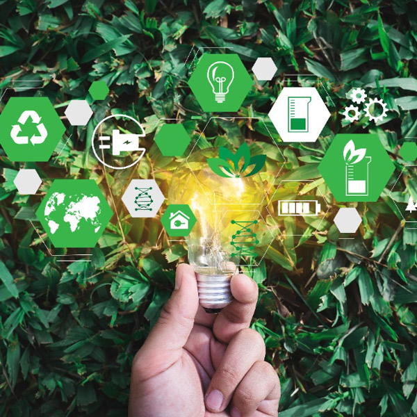 Desenvolvimento e Sustentabilidade