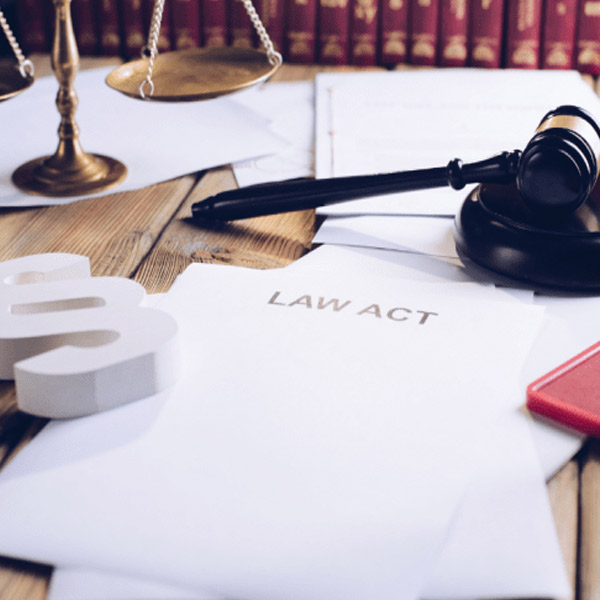 Direito Administrativo e Gestão Pública