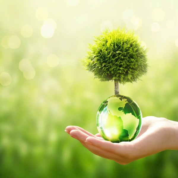 Educação Ambiental