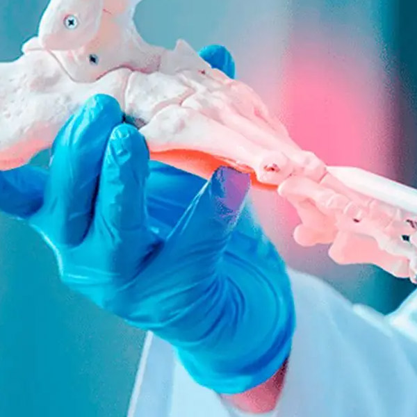 Estudos em Ortopedia e Traumatologia