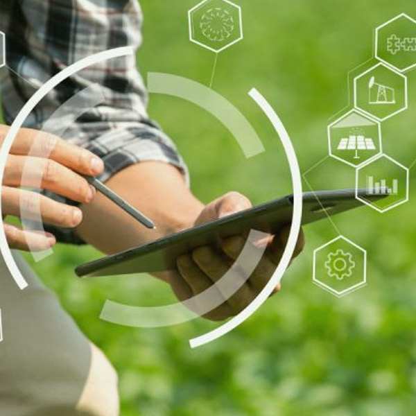 Gestão do Agronegócio