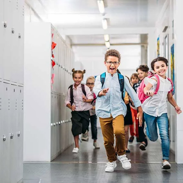 LDB - Princípios da Educação Básica