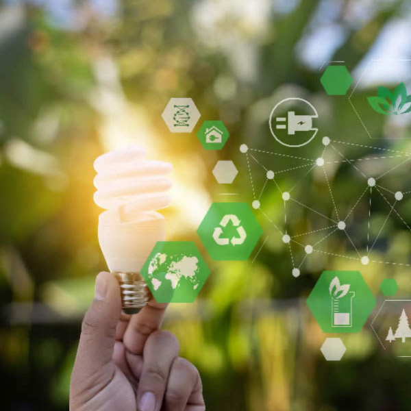 Licitações e Compras Públicas Sustentáveis