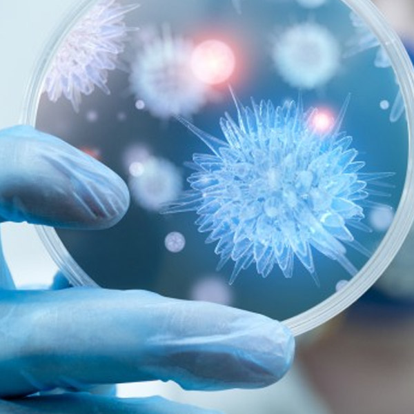 Prevenção e Controle de Infecções Relacionadas à Saúde